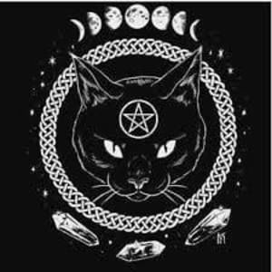 Meet your Posher, Lauran